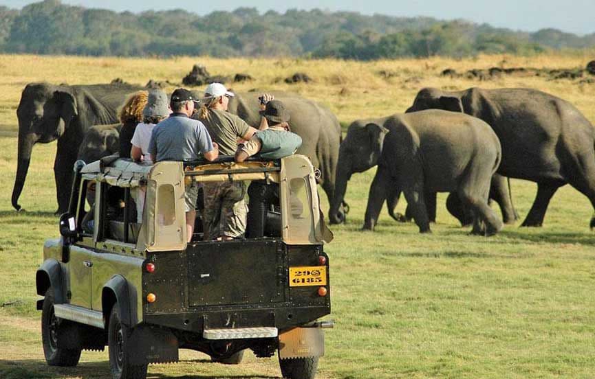 Yala National Park 3