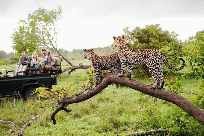 Yala National Park 4